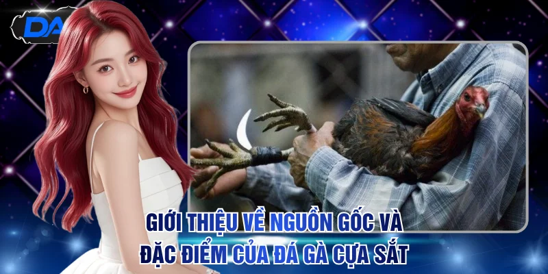 Giới thiệu về nguồn gốc và đặc điểm của đá gà cựa sắt