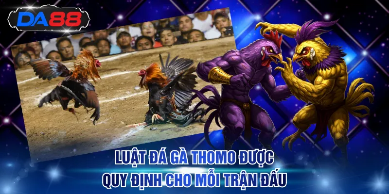 Luật Đá Gà Thomo được quy định nghiêm ngặt cho mỗi trận đấu